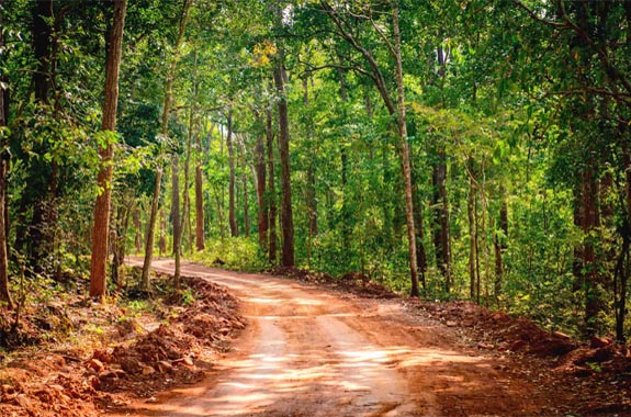 Sublime Tours: Odisha Travel Agency, Odisha Village Tourism, Tribal Tours of Odisha, Responsible Tourism Of Odisha, Odisha Tour Packages, Bhubaneswar Tours, Temple City of India